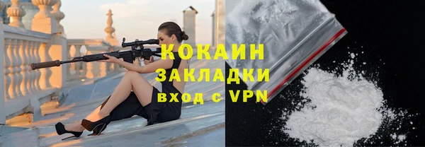 крисы Дмитров