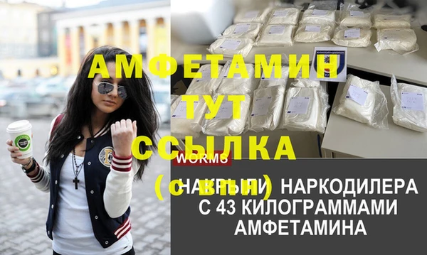 винт Дмитриев