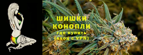 винт Дмитриев