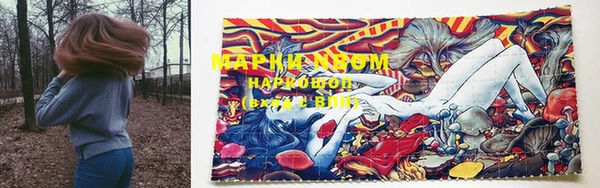крисы Дмитров