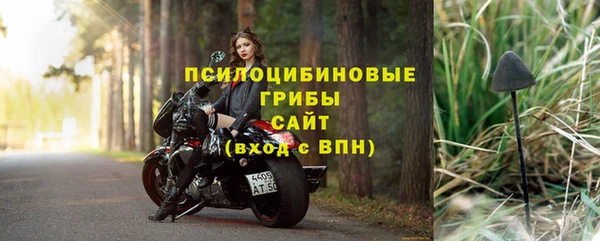 крисы Дмитров