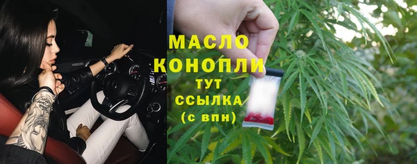 винт Дмитриев