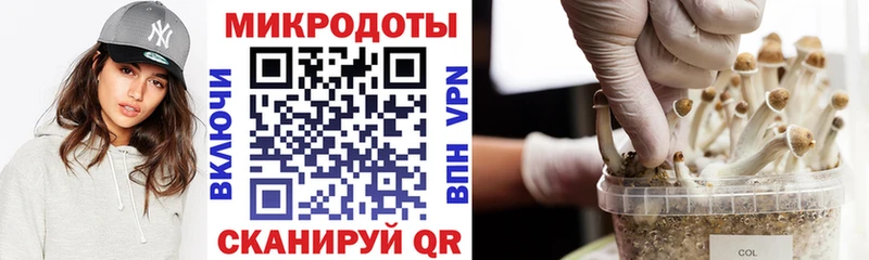 Псилоцибиновые грибы Cubensis  Купить закладки  Тимашёвск 